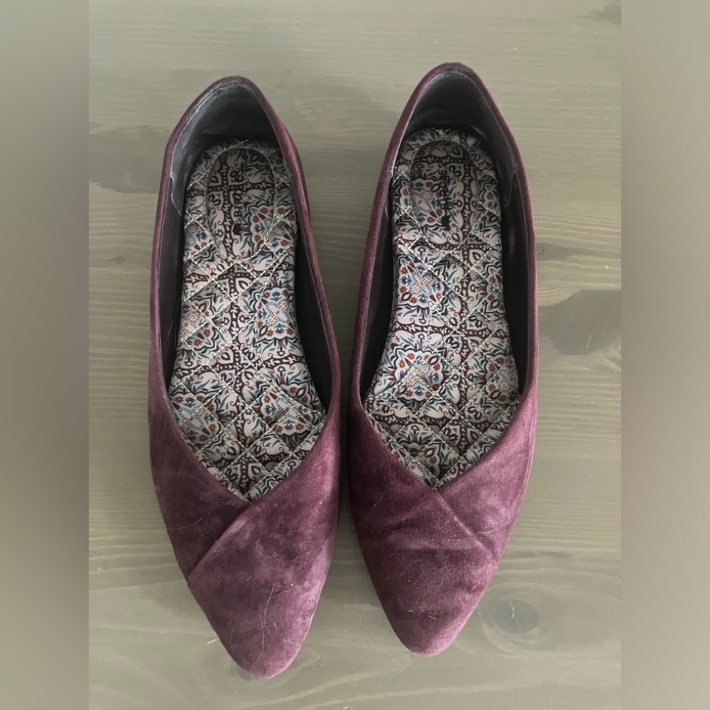 Birdies Goldfinch Suede Pointed Flats in Mulberry - Picture 4 of 6